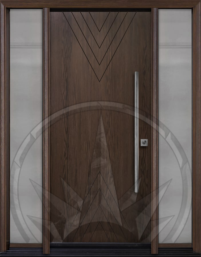 FR-20 new 9 Transitional Entry Door