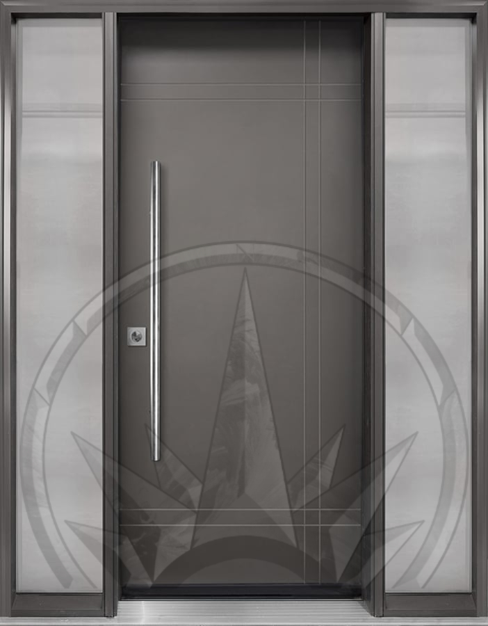 FR-20 new 12 Transitional Entry Door