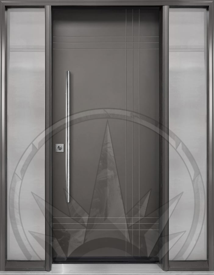 FR-20 new 10 Transitional Entry Door