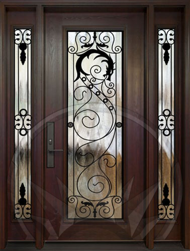 Dragon door with wrought iron inserts